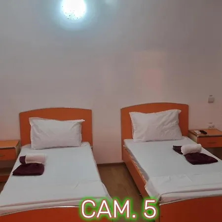 בית הארחה Andreea Si Eliza קוסטינסטי