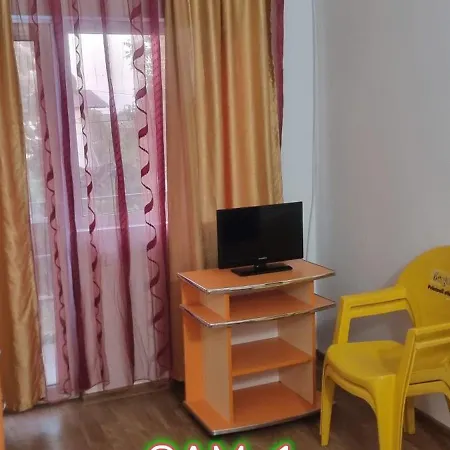 בית הארחה Andreea Si Eliza קוסטינסטי